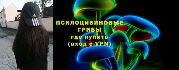 СК Абинск