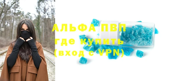 крисы Абаза