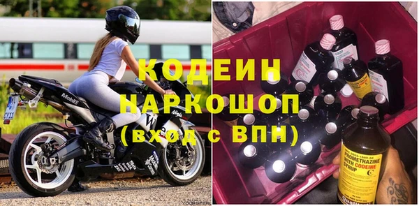 крисы Абаза