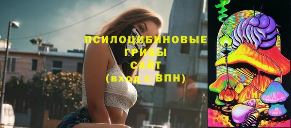 крисы Абаза