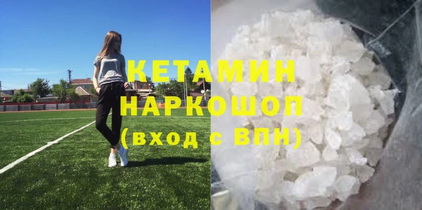 крисы Абаза