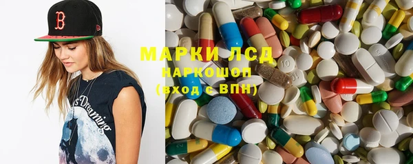 крисы Абаза