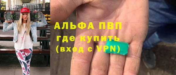 крисы Абаза