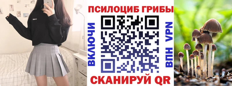 Галлюциногенные грибы прущие грибы  ссылка на мегу вход  Прохладный 